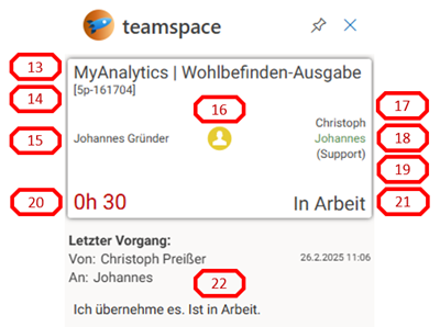 Ticket-Kachel des Add-Ins mit nummerierten Bereichen: Betreff (13), Ticket-ID [5p-161704] (14), Kontakt Johannes Gründer (15), Status-Icon (16), Verantwortlicher Christoph (17), Besitzer Johannes (18), Kanal Support (19), verstrichene Zeit 0h 30 (20), Status „In Arbeit“ (21) und darunter der Bereich „Letzter Vorgang“ (22)