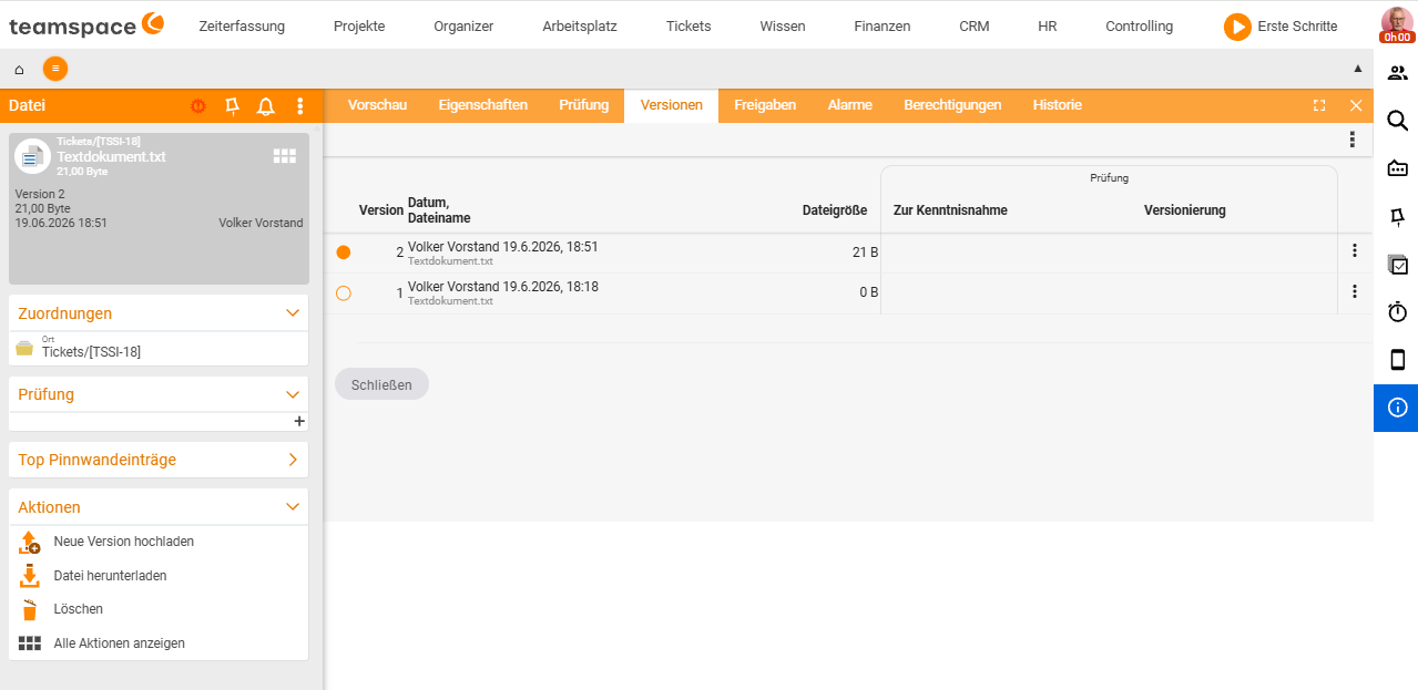 Detailmanager einer Datei auf dem Reiter „Versionen