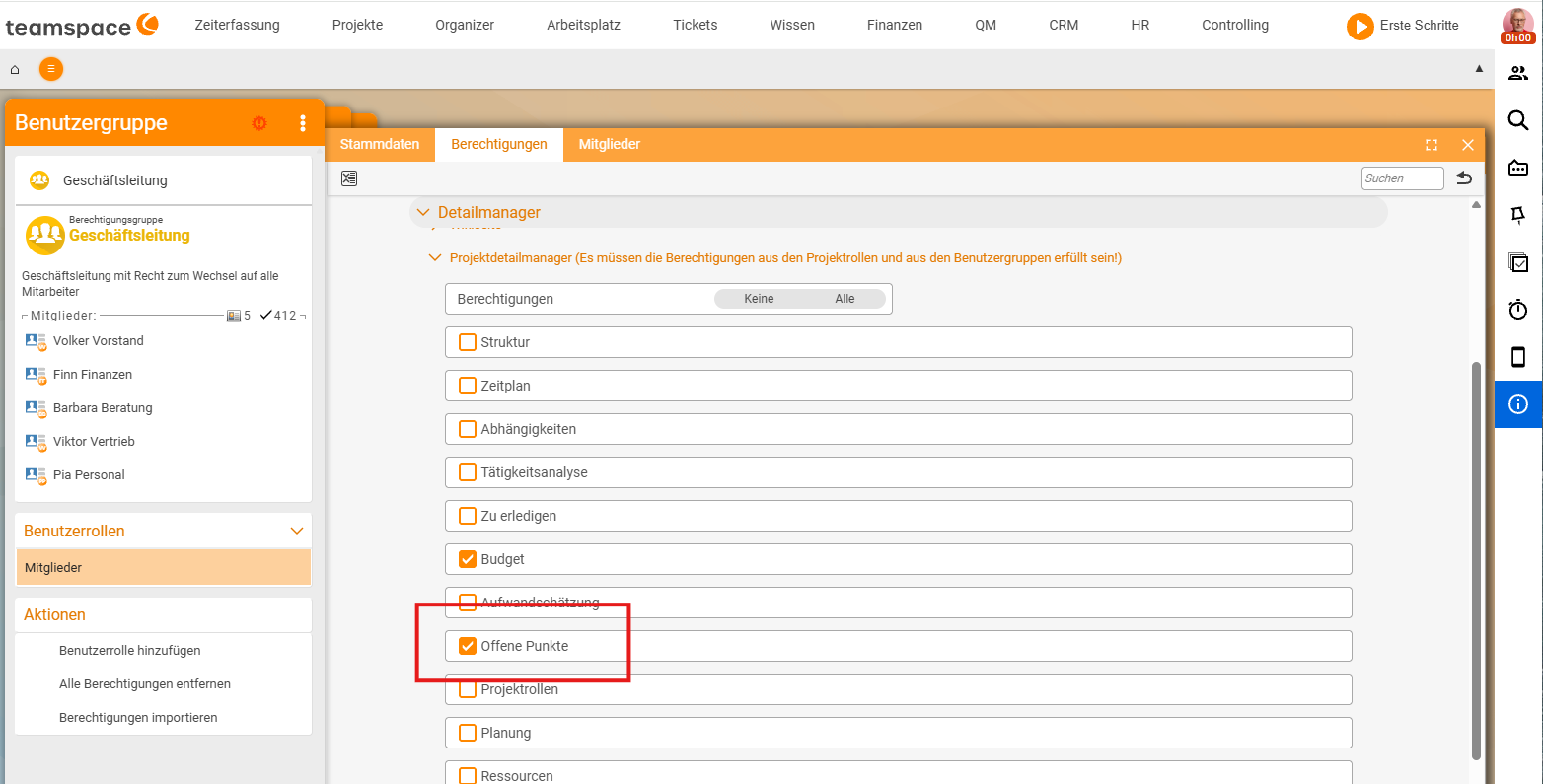 Benutzergruppe „Geschäftsleitung“, Reiter „Berechtigungen“, Sektion „Projektdetailmanager“: die Checkbox „Offene Punkte“ ist aktiviert (neben Feldern wie Struktur, Zeitplan, Budget, Projektrollen)